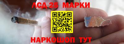 apvp Кингисепп