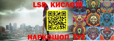 apvp Кингисепп