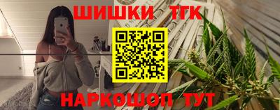 apvp Кингисепп