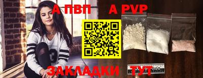apvp Кингисепп