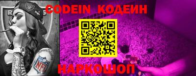apvp Кингисепп