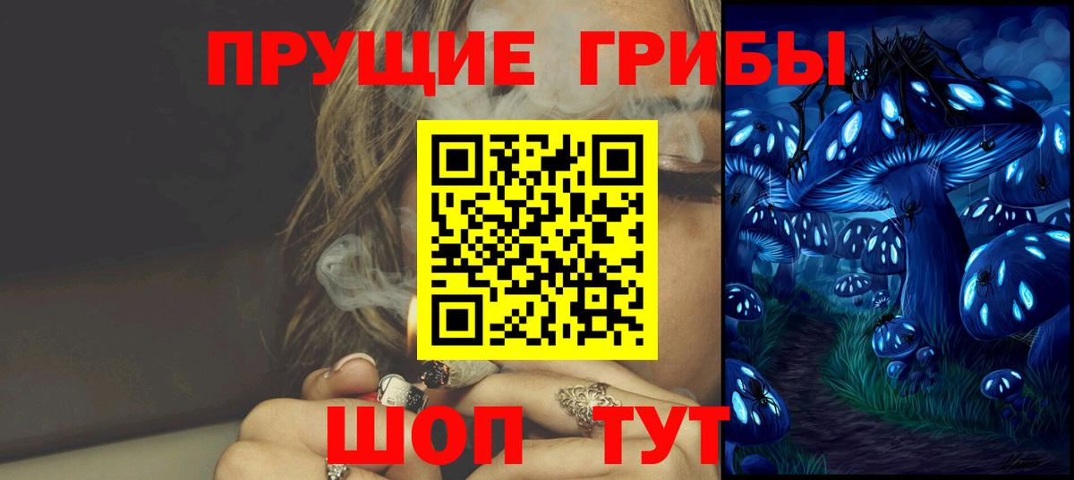 Псилоцибиновые грибы GOLDEN TEACHER  Вход с VPN  купить  цена  Кудрово 